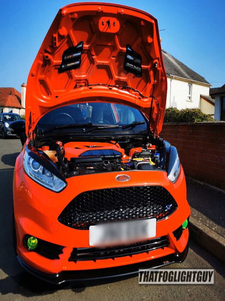 Fiesta ST180 Fog Light Armour